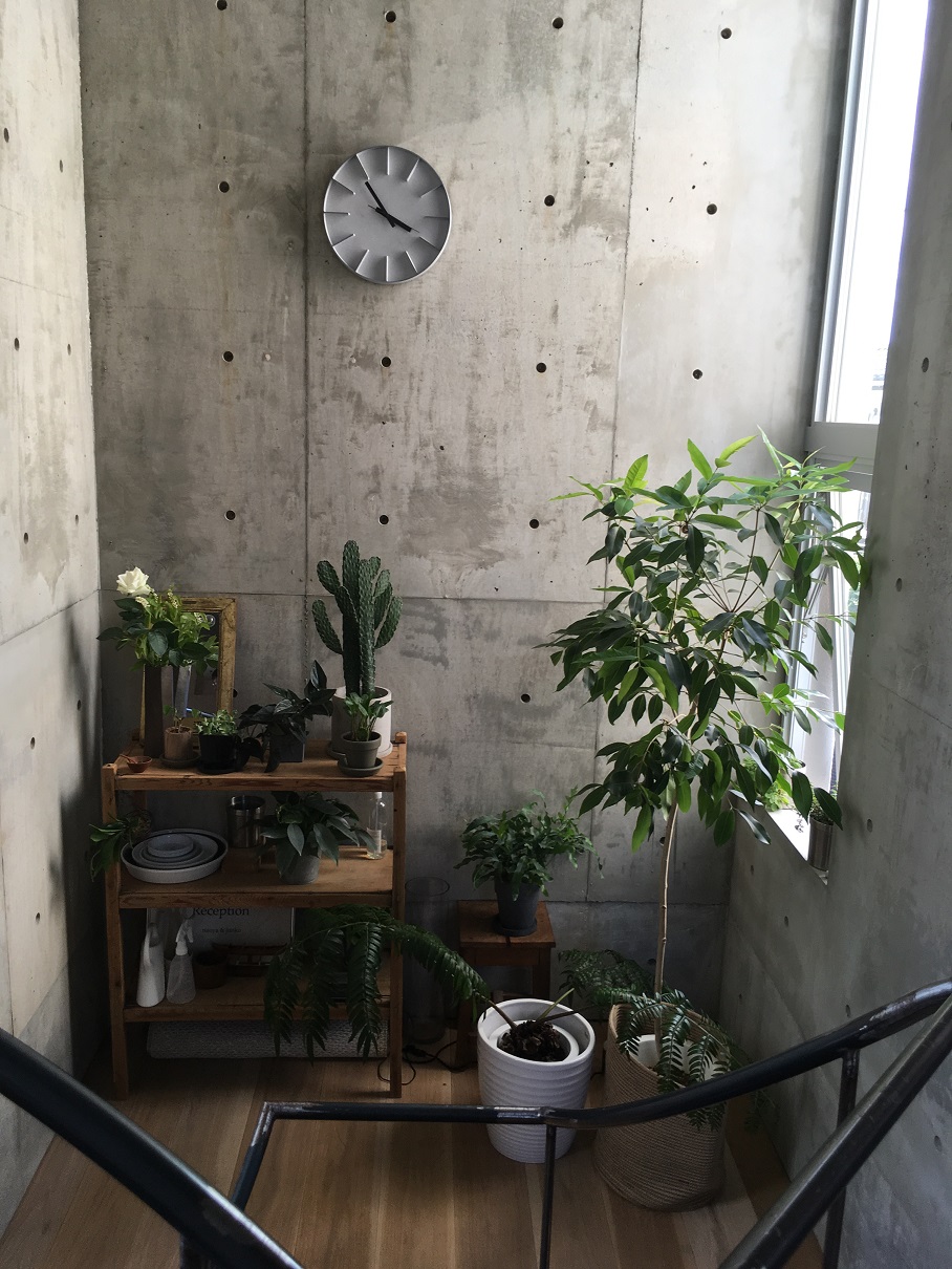 建築家自邸のオープンハウス 建築家 工務店との家づくり 横浜のアーキプロジェクト